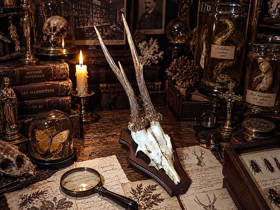 Product image 1 of 6