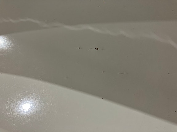 Product image 13 of 14
