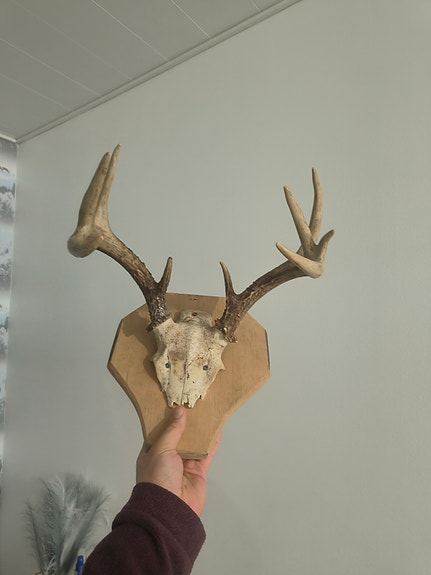 Product image 1 of 3