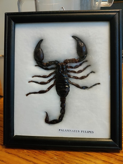 Product image 1 of 2