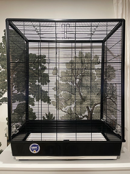 Product image 1 of 8