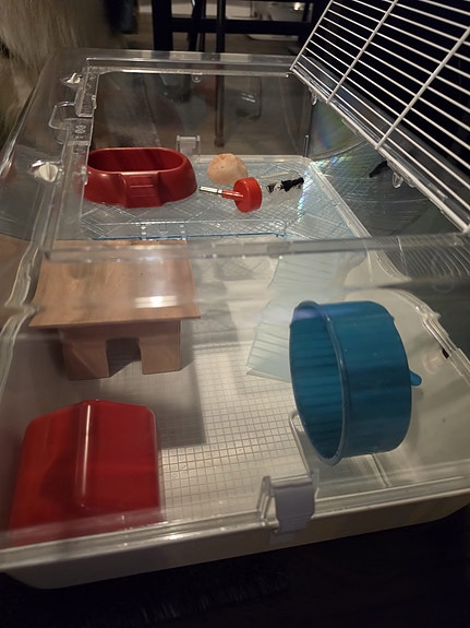 Product image 1 of 7
