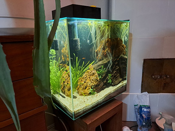 Product image 1 of 5