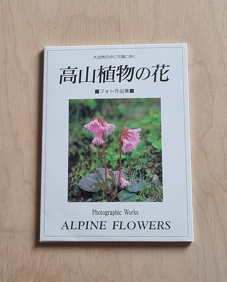 Product image 1 of 10