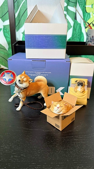 Product image 1 of 10